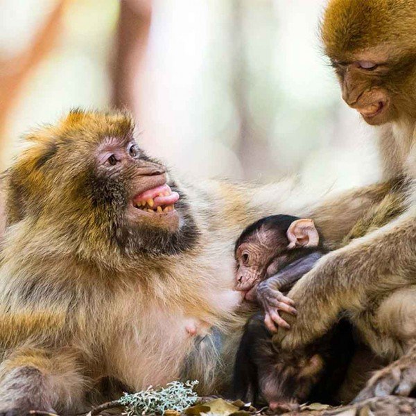 8 Days Private Tour From Casablanca to Marrakech